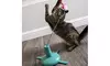 Pet Playing Retractable Cat Toys Interactive Feather Teaser Wand Toy
