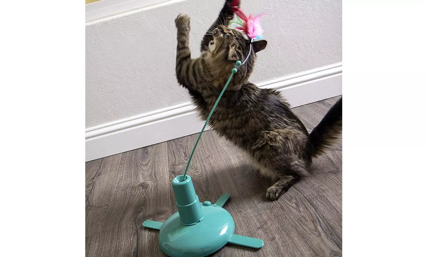 Pet Playing Retractable Cat Toys Interactive Feather Teaser Wand Toy - Primary Image