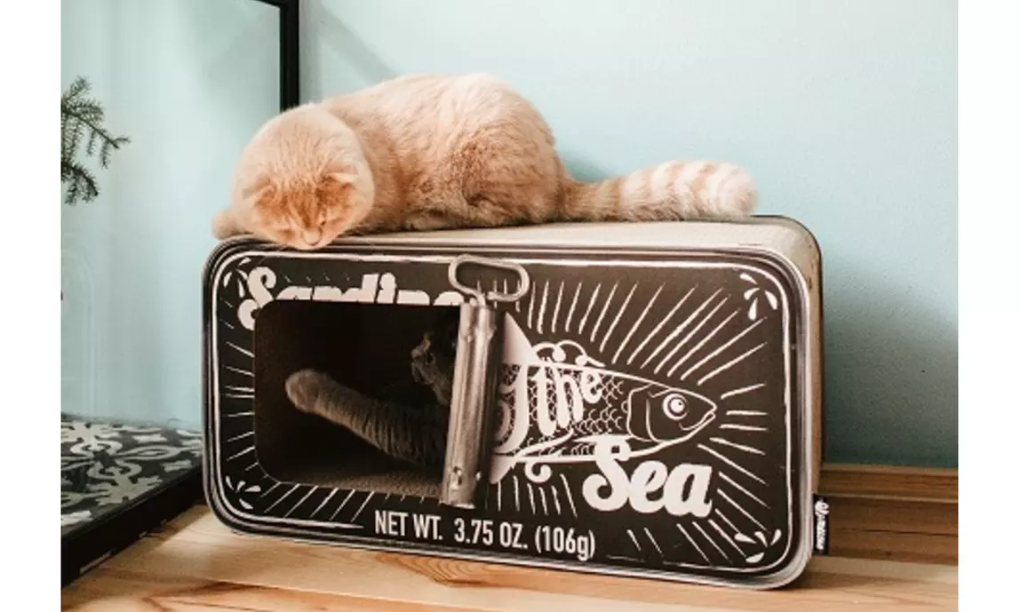 District 70 Sardine Cardboard Cat Scratcher - Primary Image
