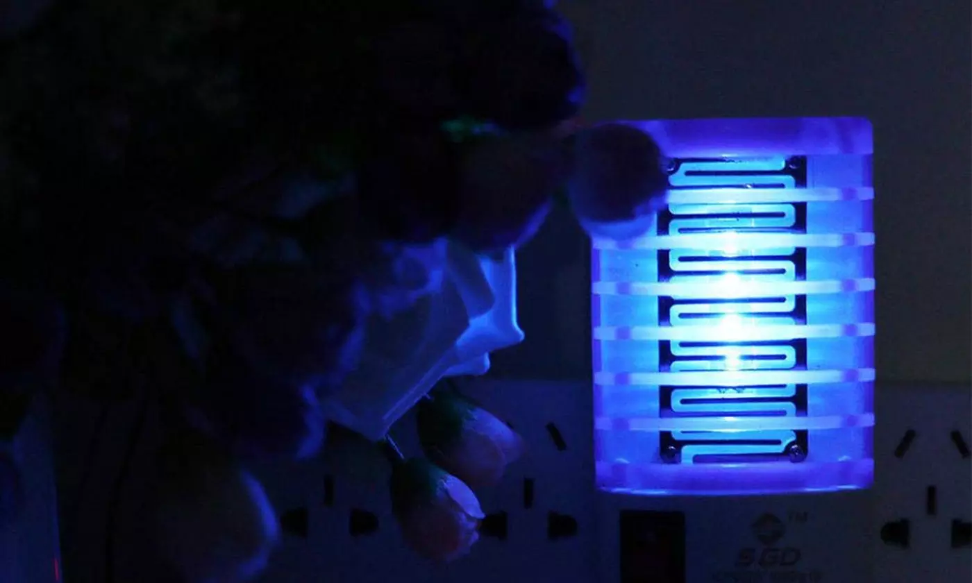 4Pcs Electric Indoor LED Bug Mosquito Trap Zapper for House Plug in Bug Killer
