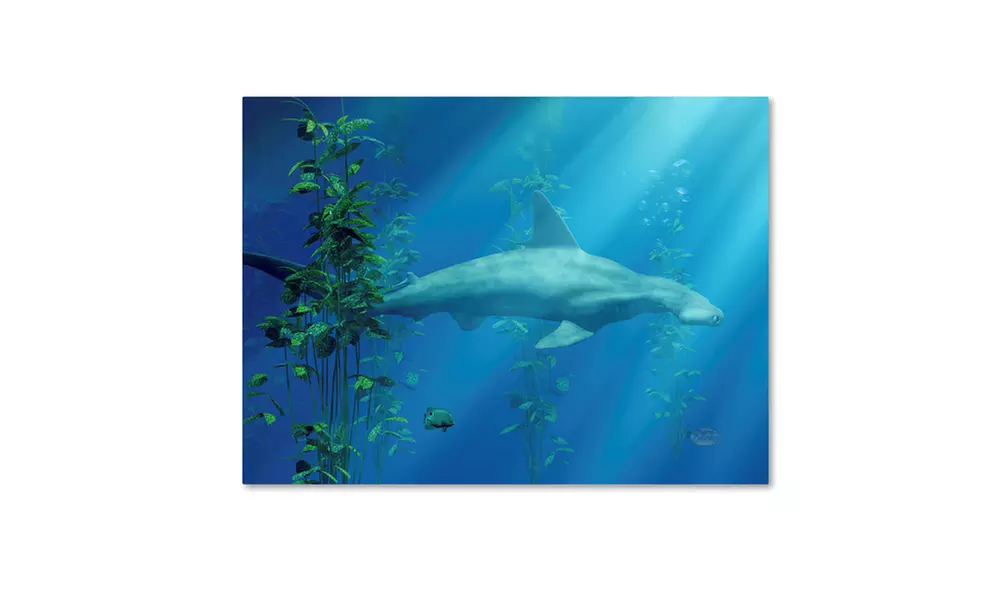 Daniel Eskridge 'Hammer Head Among The Seaweed' Canvas Art - Primary Image