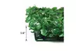 10/20x Artificial Boxwood Mat Wall Hedge Decor Privacy Fence Panel Grass 10"x10" - Second Medium