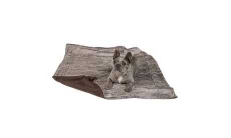 DGS Pet Products Itchy Witchy Essential Oils Blanket - Helps Dogs Ditch The Itch No Medium Chocolate Truffle