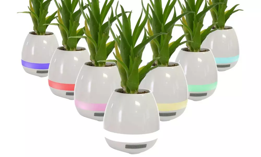 The Singing Lily Color-Changing Musical Flower Pot and Bluetooth Speaker - Primary Image