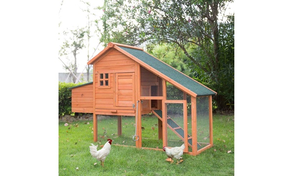 Groupon clearance rabbit hutch