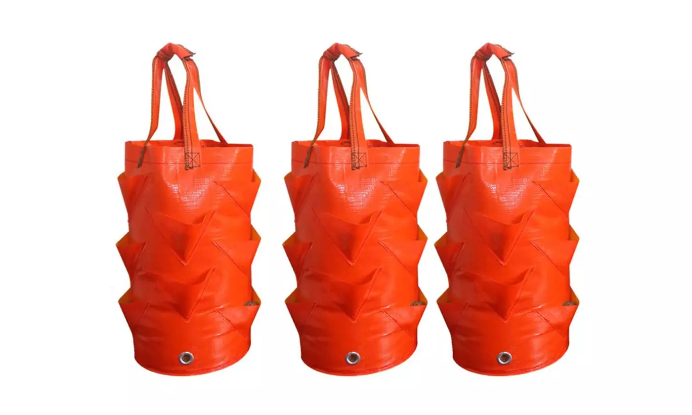 1-3 Pack Hanging 3 Gallon Planting Grow Bags with 10 Hole for Strawberry Tomato