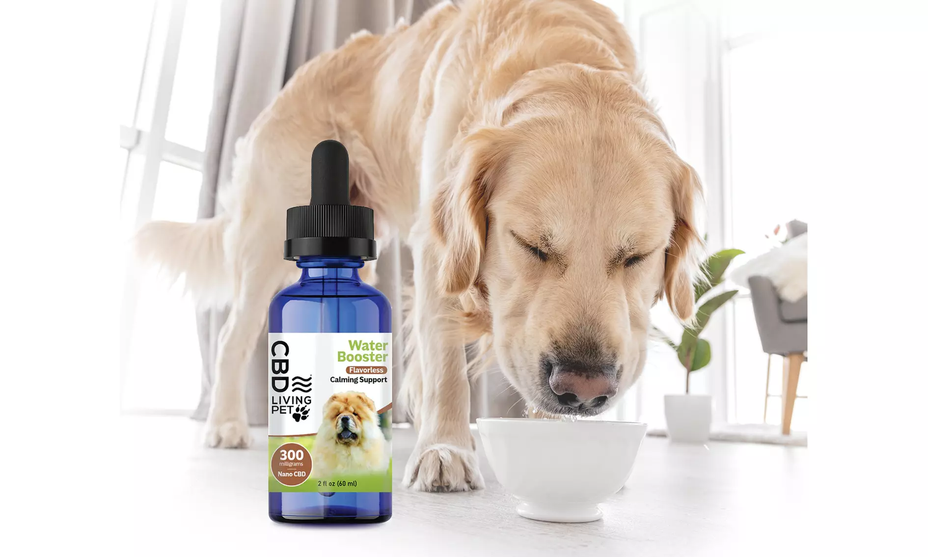 CBD Pet Calming Water Booster from CBD Living 300mg - Primary Image