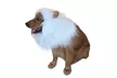 Dog's Lion Mane Costume Lion Wig Festival Party Fancy Hair Dog Clothes - Second Medium