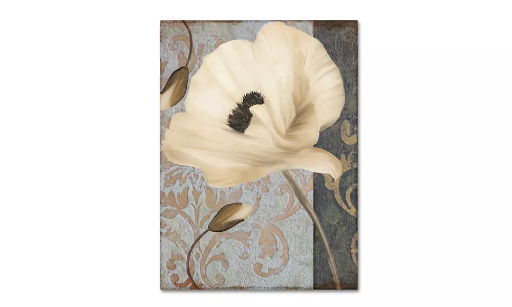 Color Bakery 'Poppy Brocade II' Canvas Art - Primary Image