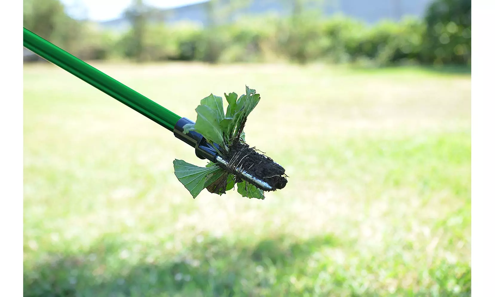 STAND-UP WEED ROOT REMOVER - Primary Image