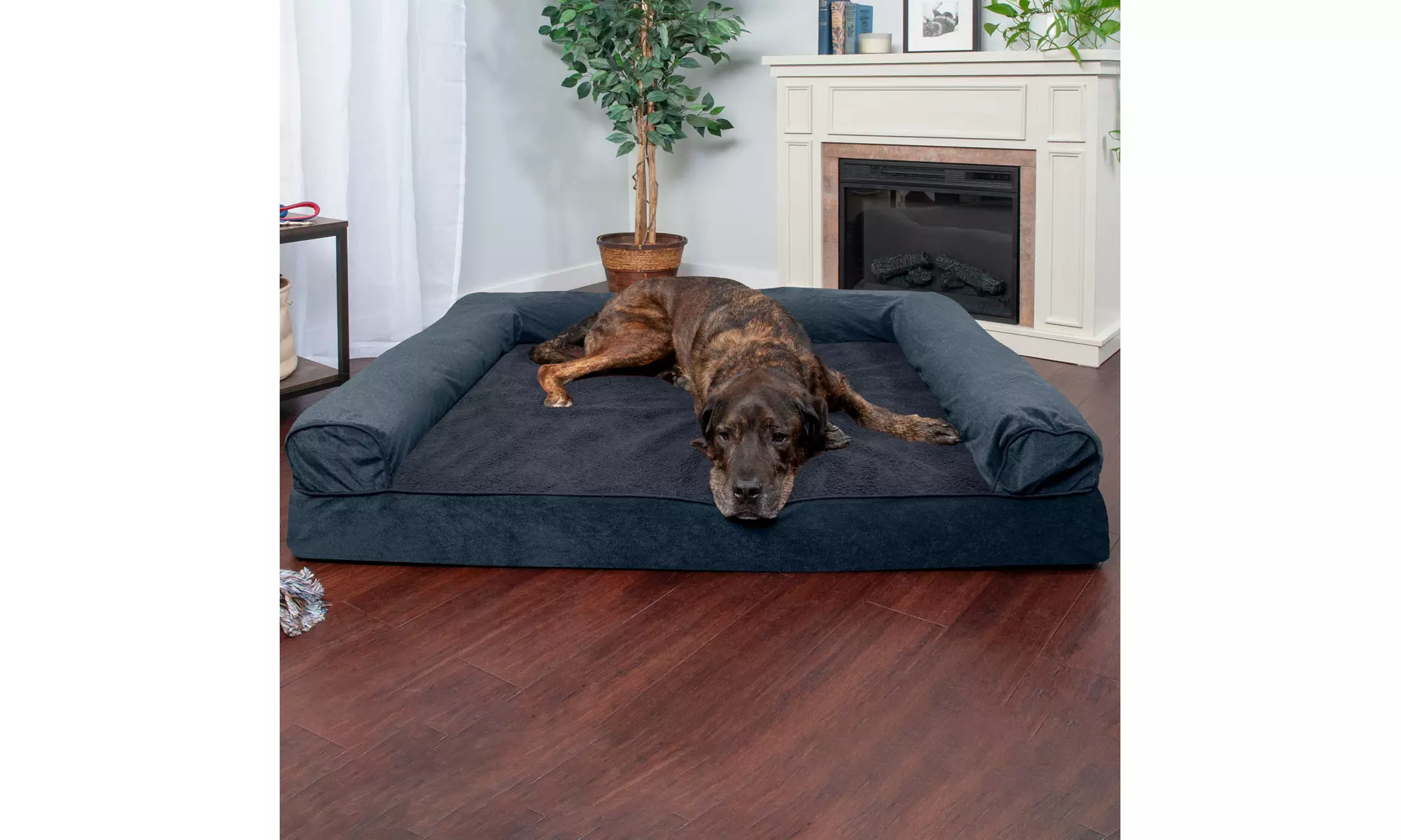 Furhaven Memory Foam Cooling Gel Pet Sofa Dog Bed - Primary Image
