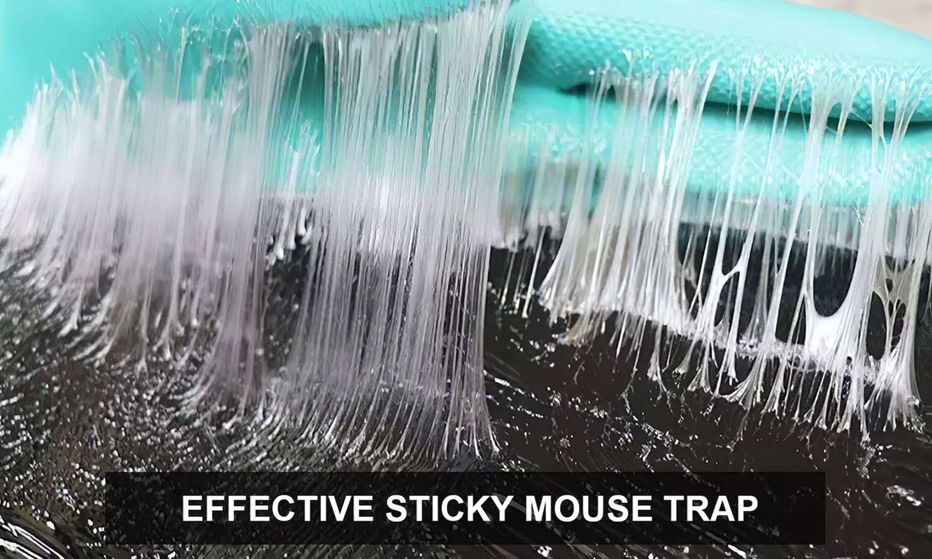 2Pcs Large Sticky Rat Traps Mouse Glue Traps Indoor Outdoor Catch Pest Trap