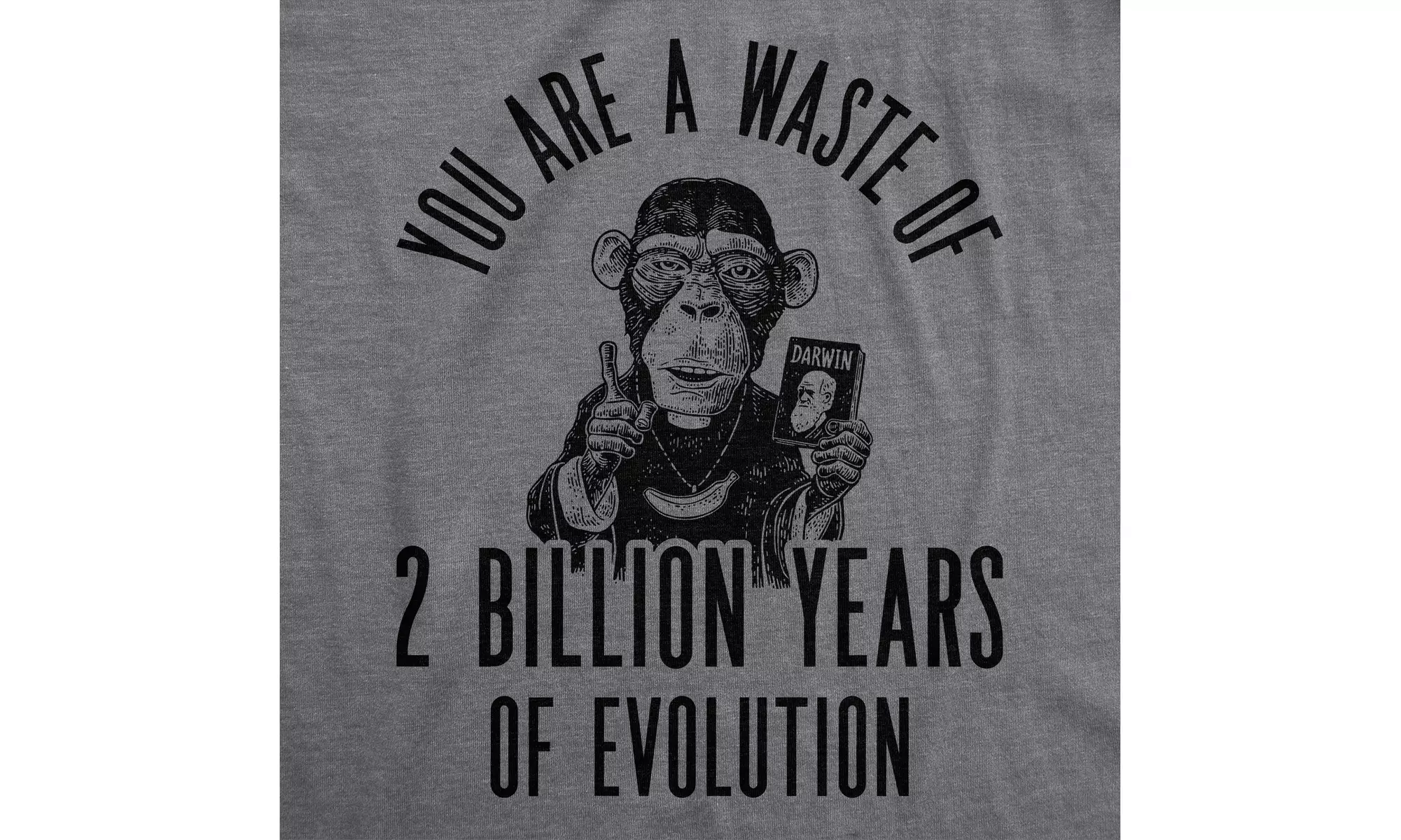 Womens You Are A Waste Of 2 Billion Years Of Evolution Tshirt Funny Insult Chimp - Second Medium