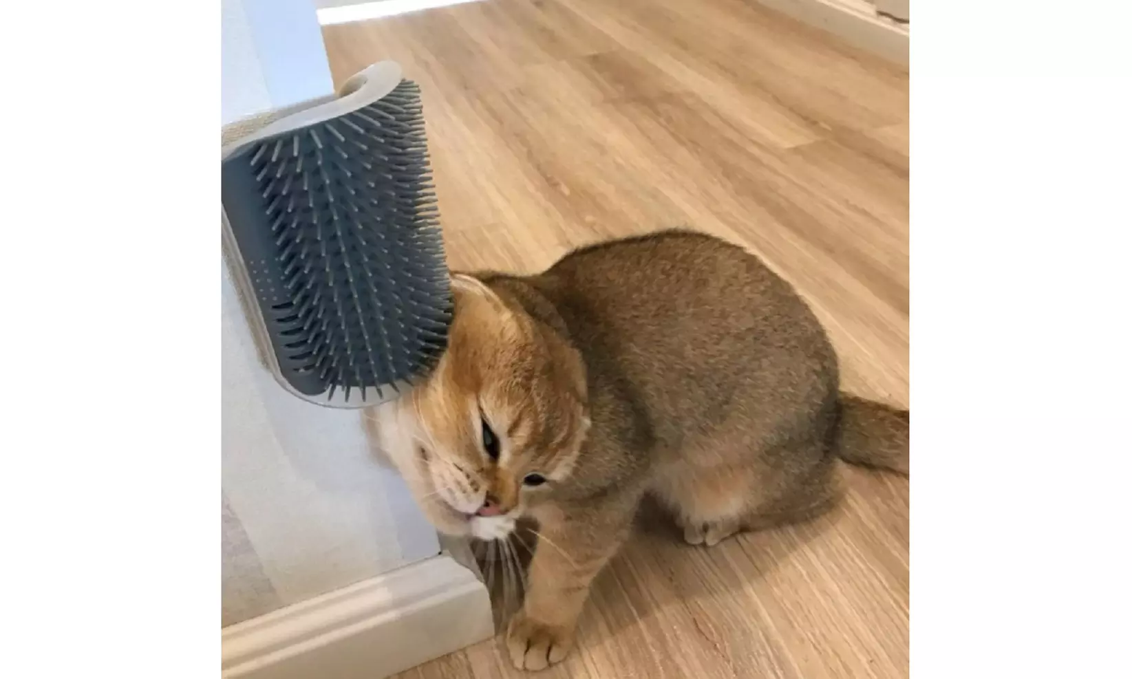 Cat Self-Groomer Face Scratcher Wall Corner Massage Comb Brush Grooming Tools - Primary Image