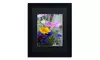 Philippe Sainte-Laudy 'Cosmo Duo' Matted Black Framed Art