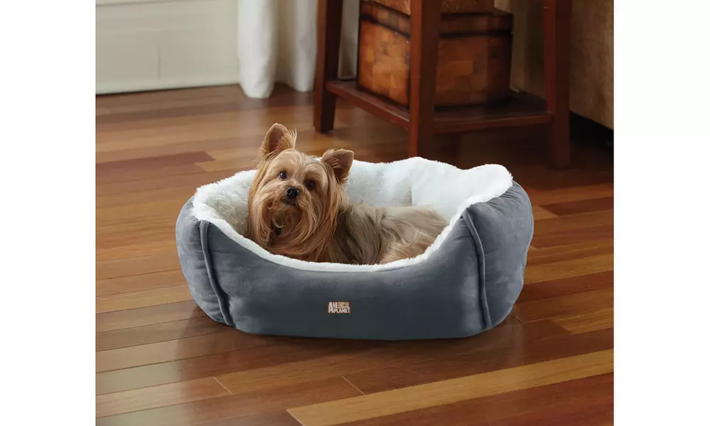 Animal Planet Pet Bed Micro Suede - Various Colors - Primary Image