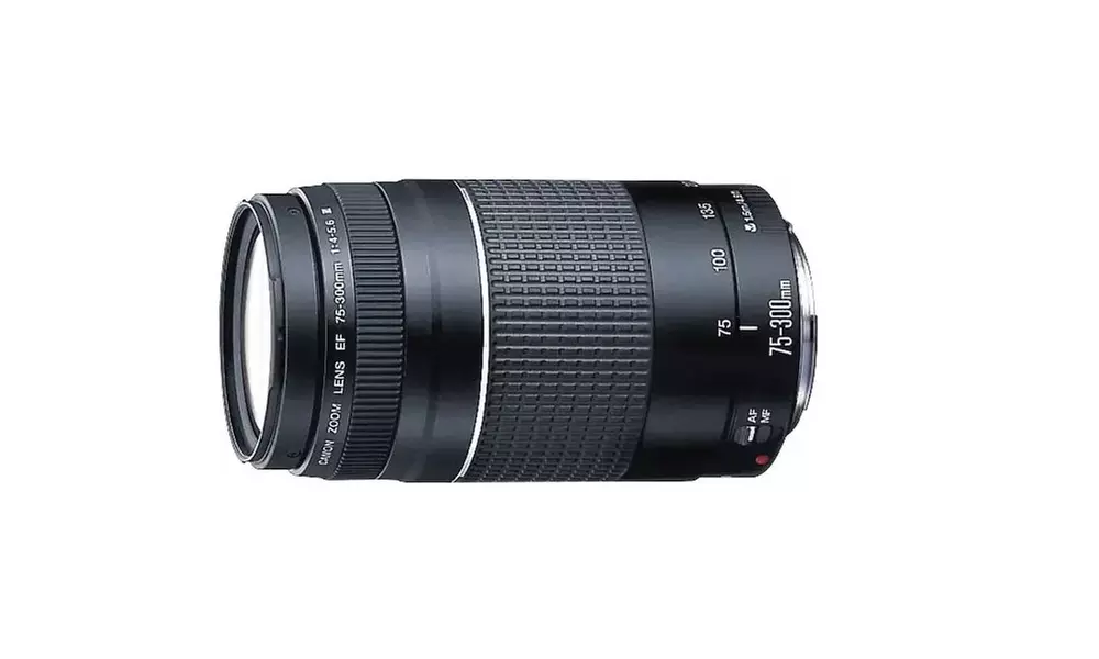 Canon EF 75-300mm f/4-5.6 III Telephoto Zoom Lens