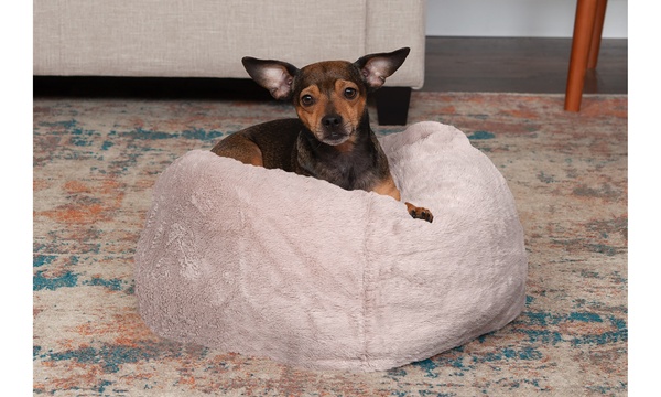 Furhaven plush hotsell ball dog bed