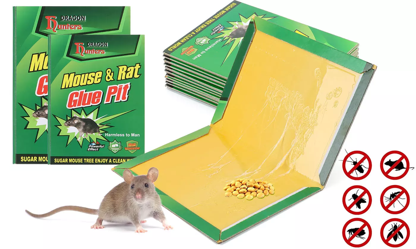 Large Mouse Glue Traps Humane Rat Mice Rodent StickyPad Board Roaches Snake - Primary Image