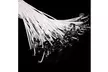Pack 100 Pre Waxed Candle Wicks for Candle Making With Sustainers 12cm Long - Second Medium