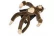 3Pcs Flying Flingshot Slingshot Howler Monkey Plush Toys Screaming Surprise Toy - Second Medium