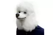 Halloween Christmas Poodle Mask For All Occasions Such As Prom Performances - Second Medium