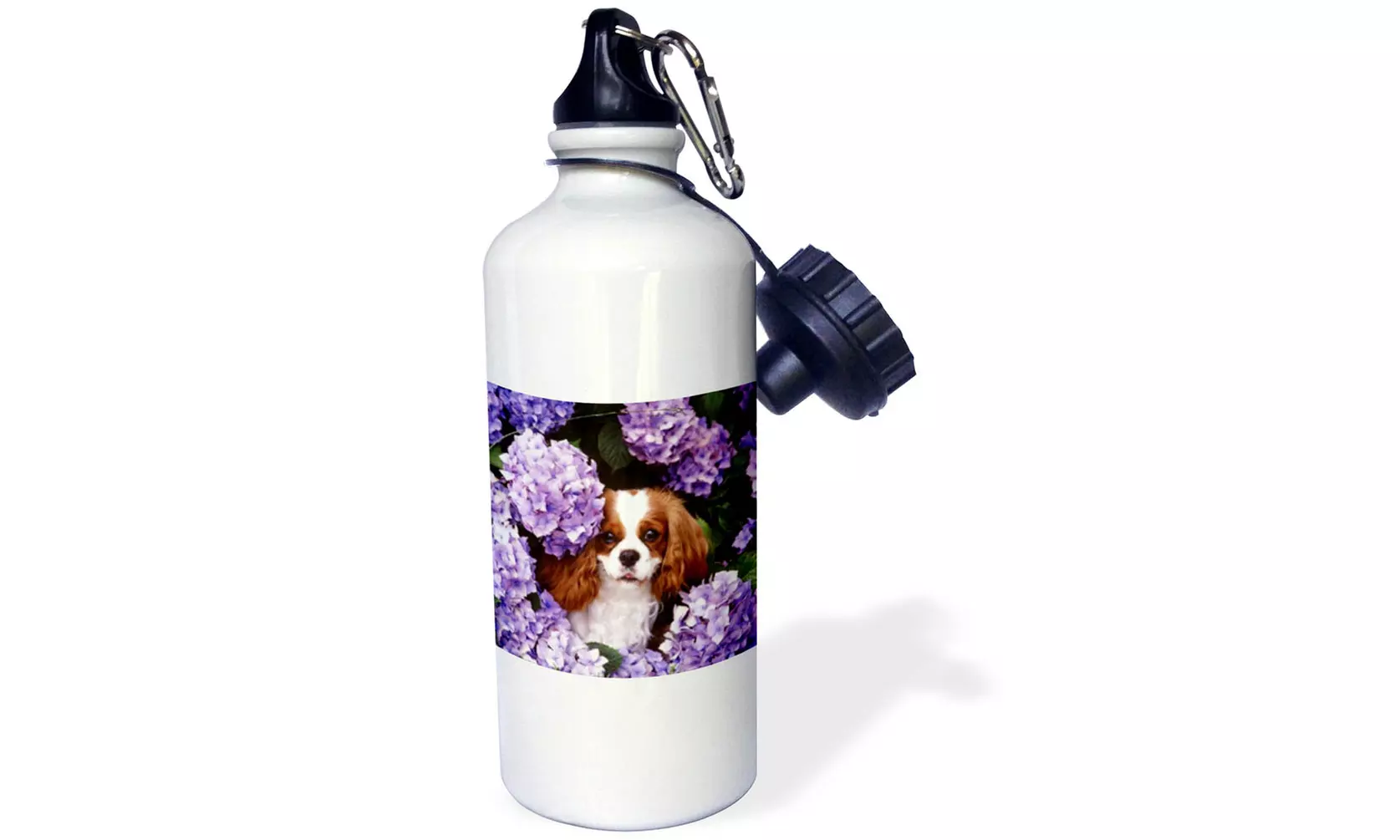  Water Bottle Cavalier King Charles Spaniel  - Primary Image