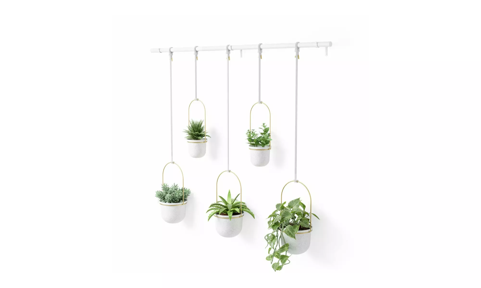 Umbra Triflora Hanging Planter White Brass 5 Pack - Second Medium