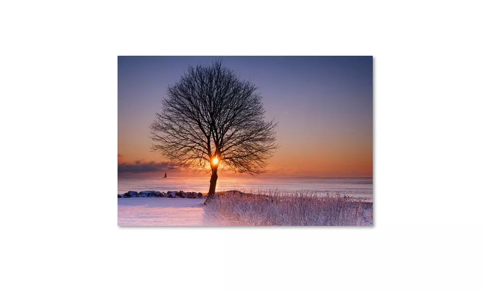 Michael Blanchette Photography 'Tree Burst' Canvas Art - Primary Image