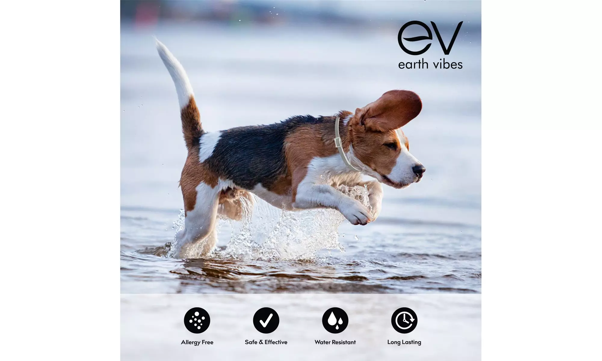 Earth Vibes Natural Flea & Tick Collar For Dogs (One Size Fits All) - Second Medium