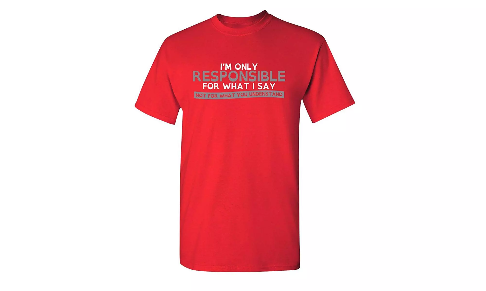 I'm Only Responsible for What I Gift Idea Novelty Gag Gift Mens Funny T Shirt - Primary Image