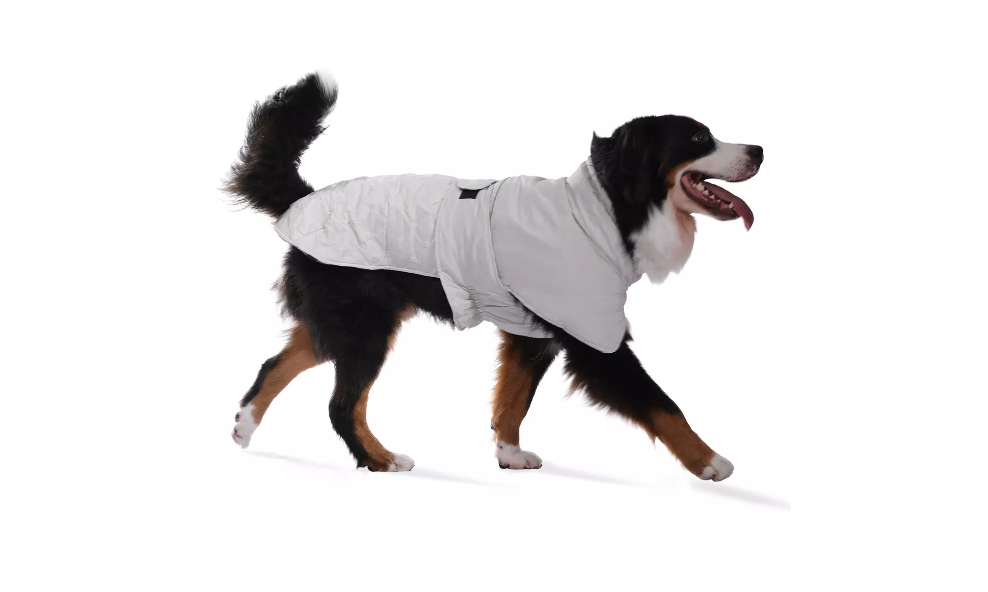 Water-Repellent Reversible Dog Winter Coat with Warm Secure Belt