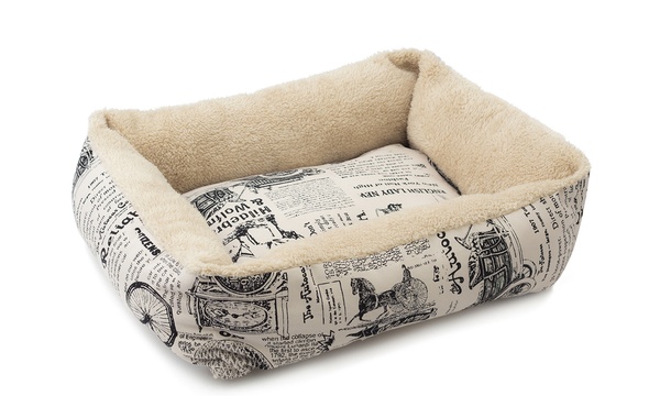 Groupon hotsell dog beds