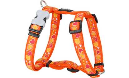 Red Dingo DH-BZ-OR-SM Dog Harness Design Breezy Love Orange, Small