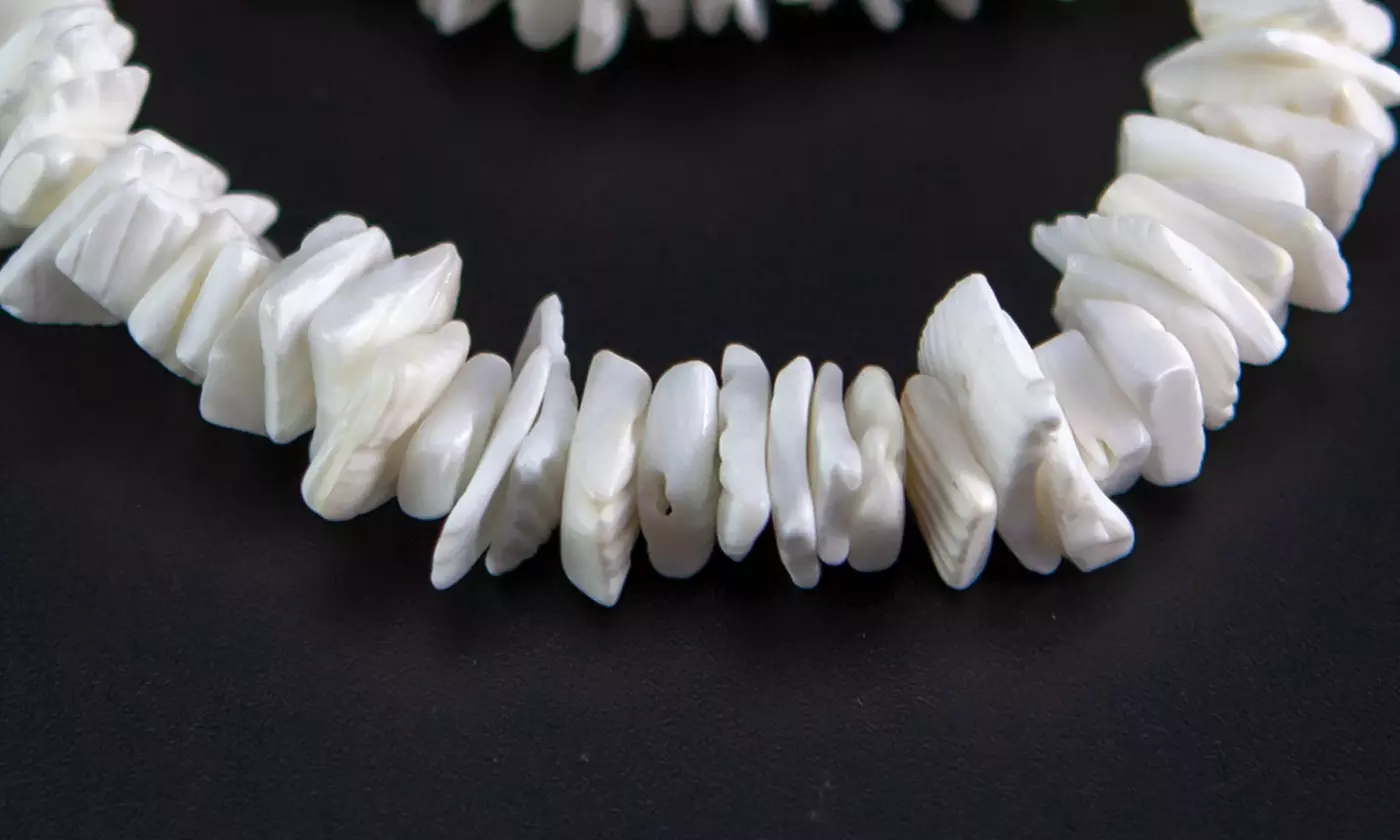 White Sea Shell Handmade Bracelet Anklet Bracelet