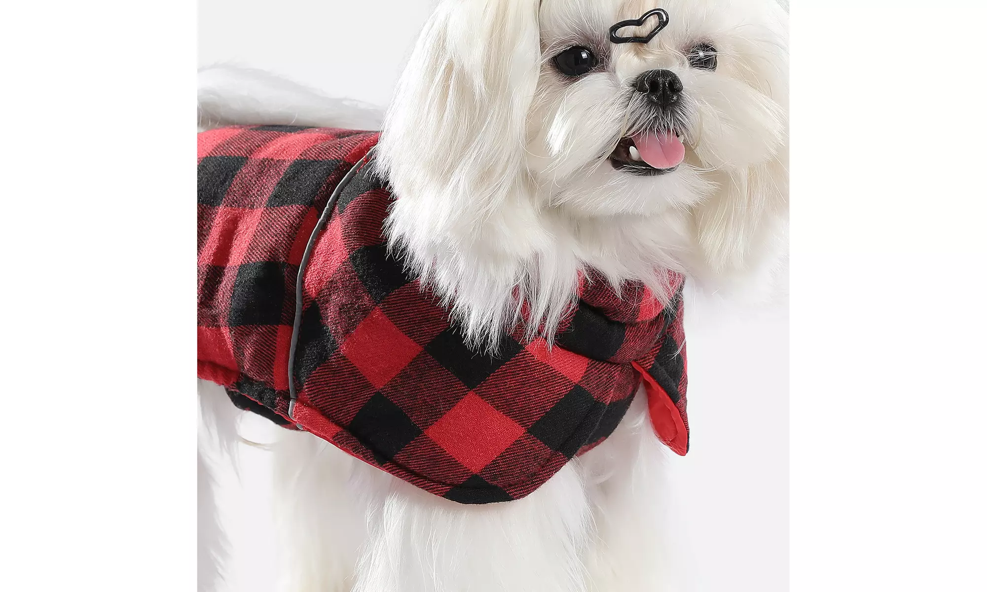 Water-Repellent Reversible Dog Winter Coat with Warm Secure Belt