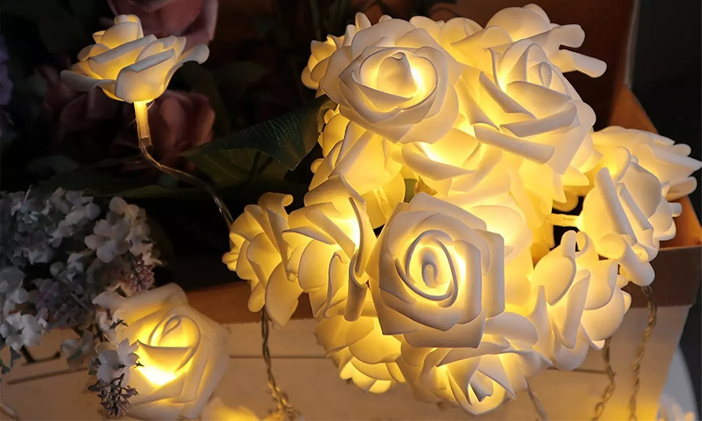  iMounTEK 40-LED Rose String Lights Romantic Valentines Day Decor (2-Pack)