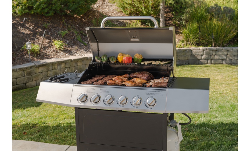 expert 6 burner gas grill