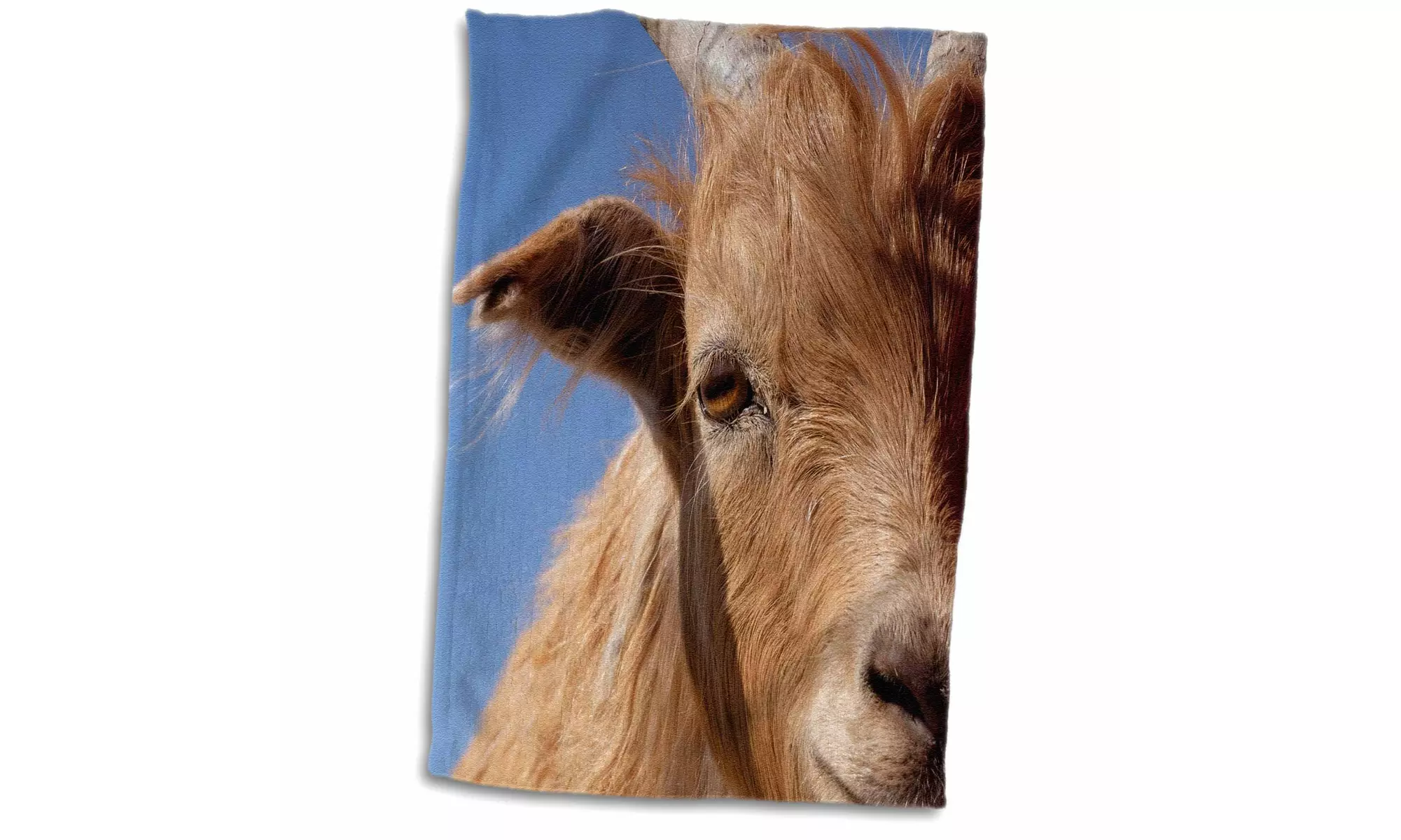  Towel - Inner Mongolian Cashmere goat, Western Mongolia. - 15 by 22-inches  - Primary Image