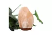 Crystal Himalayan Wall Salt Night Lamp ((2.2-4.41lbs) - Second Medium
