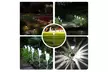 10 Pack Solar Garden Lights  - Second Medium