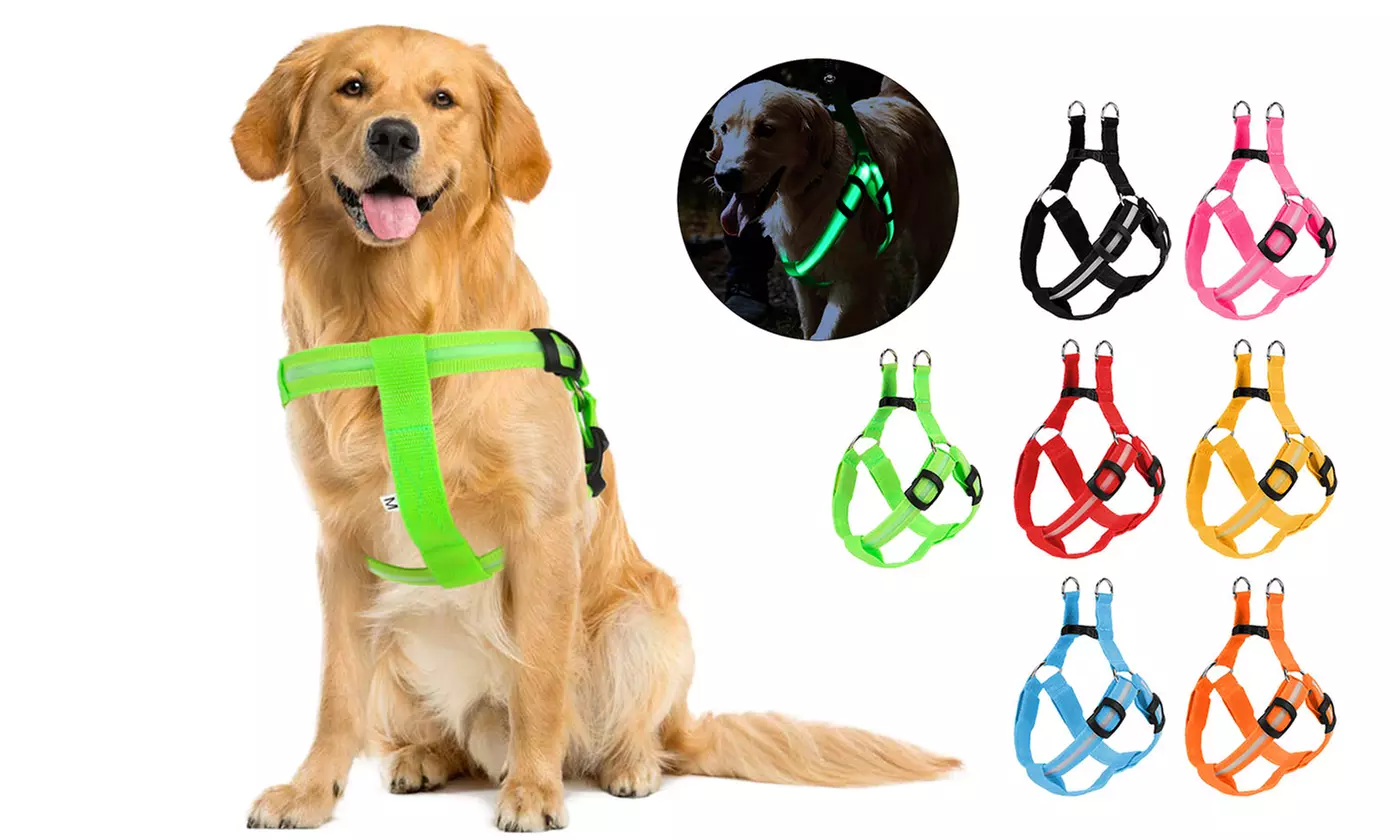 3 Lighting Modes LED Dog Pet Harness Adjustable Control Vest Dogs Reflective - Primary Image