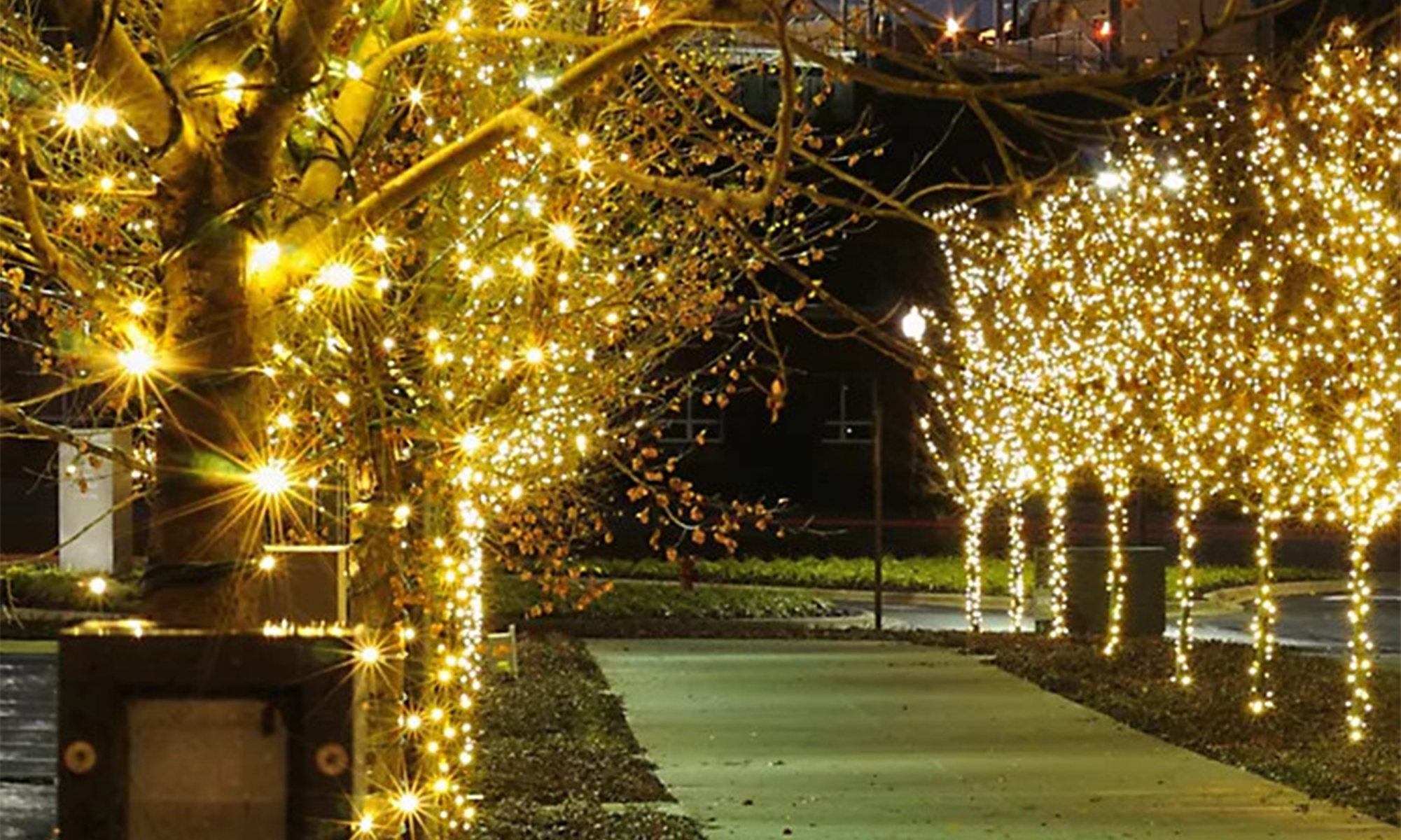 200LED Solar String Lights 72Ft Christmas Lights Outdoor Christmas Decorations
