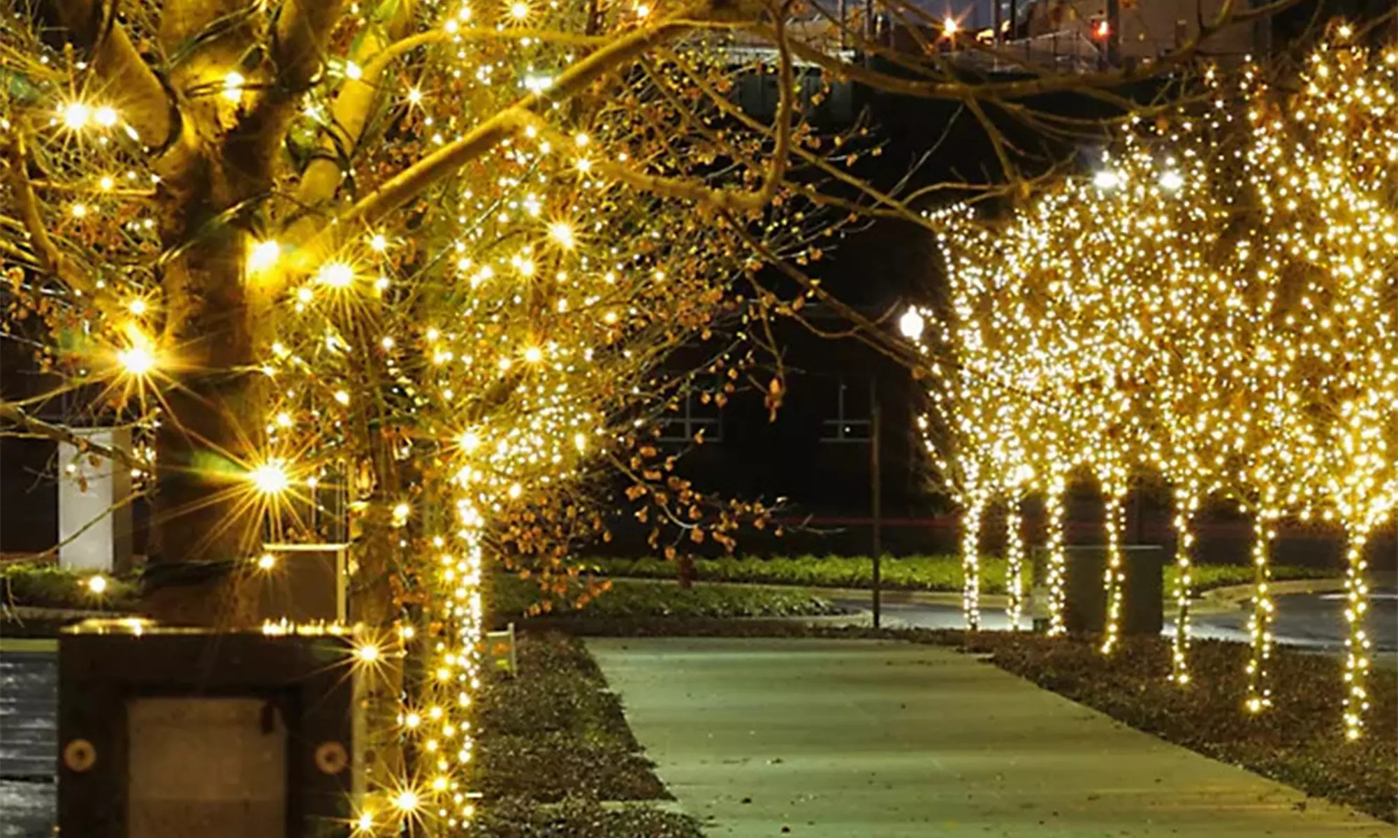 200LED Solar String Lights 72Ft Christmas Lights Outdoor Christmas Decorations