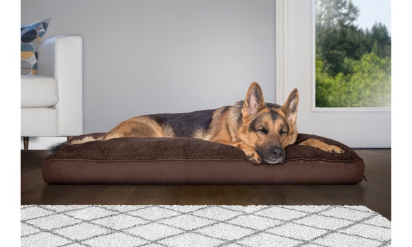 Dog on sale bed groupon