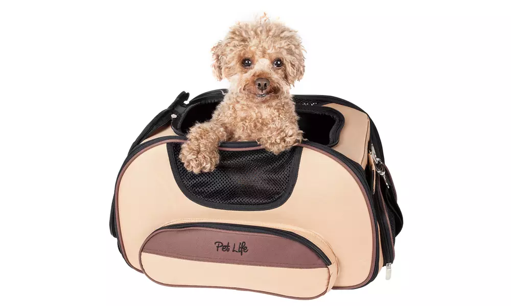 Airline Approved Sky-Max Modern Collapsible Pet Carrier - Primary Image