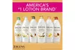 Jergens Shea Butter Lotion, Deep Conditioning Moisturizer, Hydration for Dry - Second Medium