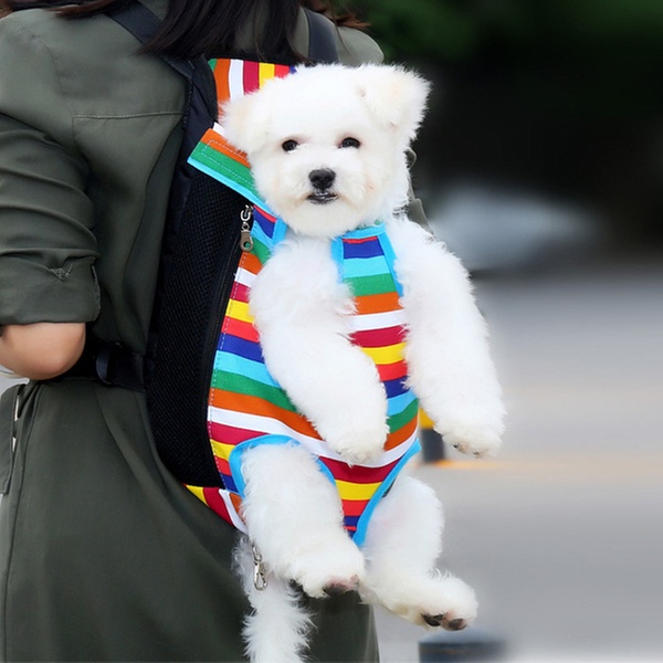 dog backpack front