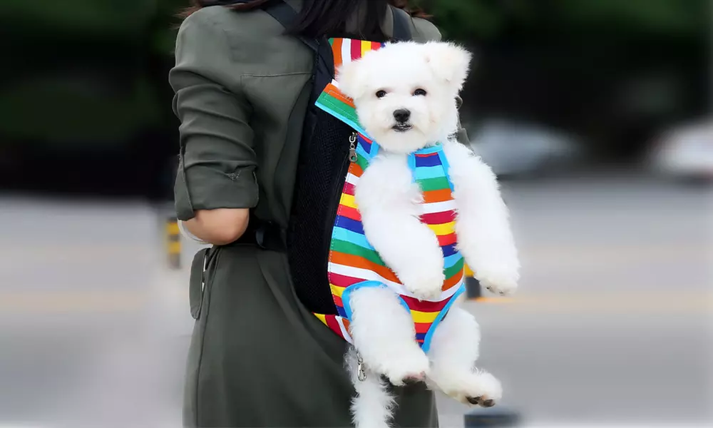 Pet Carrier Backpack Adjustable Pet Front Cat Dog Carrier Travel Bag Legs Out - Primary Image