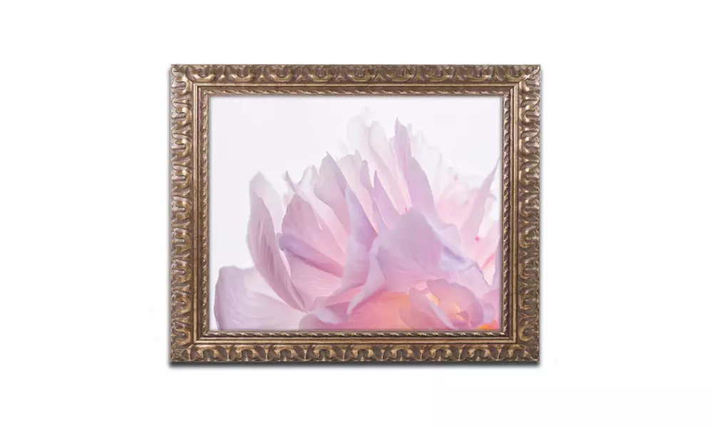 Cora Niele 'Pink Peony Petals VI' Ornate Framed Art - Primary Image